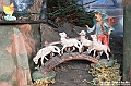 VBS_7053 - Presepe Meccanico di Nonna Rosi 2024